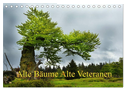 Alte Bäume Alte Veteranen (Tischkalender 2024 DIN A5 quer), CALVENDO Monatskalender