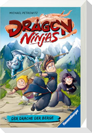 Dragon Ninjas, Band 1 - Der Drache der Berge