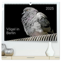 Vögel in Berlin (hochwertiger Premium Wandkalender 2025 DIN A2 quer), Kunstdruck in Hochglanz