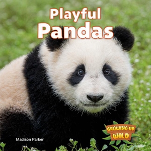 Parker, Madison. Playful Pandas. Rosen Publishing Group, Inc, 2025.