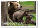 Tierbabys 2024 (Wandkalender 2024 DIN A4 quer), CALVENDO Monatskalender