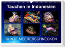 Tauchen in Indonesien - BUNTE MEERESSCHNECKEN (Wandkalender 2024 DIN A3 quer), CALVENDO Monatskalender