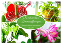 Die schönsten Zimmerpflanzen. Pflegeleicht, dekorativ und wohltuend (Tischkalender 2025 DIN A5 quer), CALVENDO Monatskalender