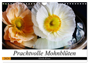 Prachtvolle Mohnblüten (Wandkalender 2024 DIN A4 quer), CALVENDO Monatskalender