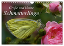 Große und kleine Schmetterlinge (Wandkalender 2025 DIN A4 quer), CALVENDO Monatskalender