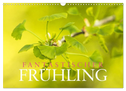 Fantastischer Frühling (Wandkalender 2024 DIN A3 quer), CALVENDO Monatskalender
