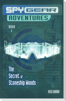 The Secret of Stoneship Woods