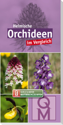 Heimische Orchideen im Vergleich - 10er-Set