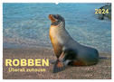 Robben - überall zuhause (Wandkalender 2024 DIN A2 quer), CALVENDO Monatskalender