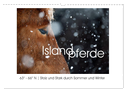 Islandpferde - Stolz und Stark durch Sommer und Winter (Wandkalender 2024 DIN A3 quer), CALVENDO Monatskalender
