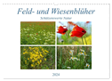 Feld- und Wiesenblüher Schützenswerte Natur (Wandkalender 2024 DIN A3 quer), CALVENDO Monatskalender