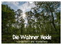 Die Wahner Heide - Landschaft und Weidetiere (Wandkalender 2024 DIN A4 quer), CALVENDO Monatskalender