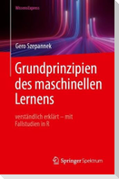 Grundprinzipien des maschinellen Lernens