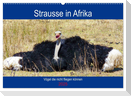 Strausse in Afrika (Wandkalender 2025 DIN A2 quer), CALVENDO Monatskalender