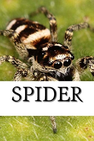 Spider. Spider. Createspace Independent Publishing Platform, 2017.