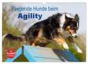 Fliegende Hunde beim Agility (Wandkalender 2025 DIN A3 quer), CALVENDO Monatskalender