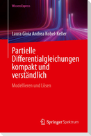 Partielle Differentialgleichungen kompakt und verständlich