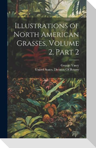 Illustrations of North American Grasses, Volume 2, part 2