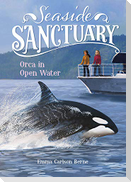 Orca in Open Water