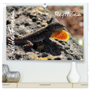 Wilde Fauna - Reptilien (hochwertiger Premium Wandkalender 2024 DIN A2 quer), Kunstdruck in Hochglanz