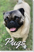 Pugs Photo Book for Writing and Note Taking