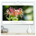 Honeysuckle Rose - Jazz-Standards ins Bild gesetzt (hochwertiger Premium Wandkalender 2024 DIN A2 quer), Kunstdruck in Hochglanz