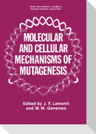 Molecular and Cellular Mechanisms of Mutagenesis
