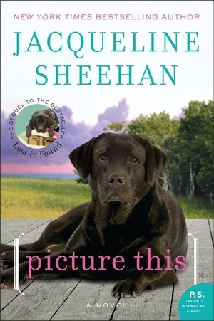 Sheehan, Jacqueline. Picture This. HarperCollins, 2023.