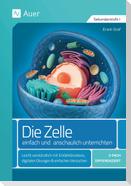 Die Zelle - einfach und anschaulich unterrichten