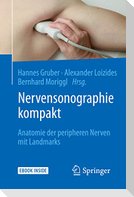 Nervensonographie kompakt
