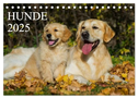 Hunde - Treue Freunde für´s Leben (Tischkalender 2025 DIN A5 quer), CALVENDO Monatskalender