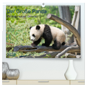 Der Große Panda Ein kuscheliger Geselle (hochwertiger Premium Wandkalender 2025 DIN A2 quer), Kunstdruck in Hochglanz