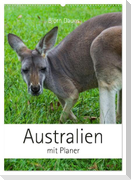 Australien mit Planer (Wandkalender 2024 DIN A2 hoch), CALVENDO Monatskalender