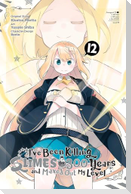 I've Been Killing Slimes for 300 Years and Maxed Out My Level, Vol. 12 (manga)