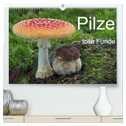 Pilze - tolle Funde (hochwertiger Premium Wandkalender 2024 DIN A2 quer), Kunstdruck in Hochglanz