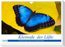 Kleinode der Lüfte - Faszinierende tropische Schmetterlinge (Wandkalender 2024 DIN A4 quer), CALVENDO Monatskalender
