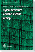 Xylem Structure and the Ascent of Sap