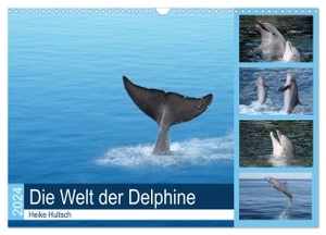 Hultsch, Heike. Die Welt der Delphine (Wandkalender 2024 DIN A3 quer), CALVENDO Monatskalender - Intelligente, freundliche Delphine beim Spiel. Calvendo, 2023.