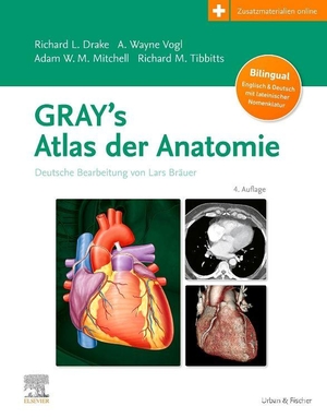 Drake, Richard L. / A. Wayne Vogl et al (Hrsg.). Gray's Atlas der Anatomie mit online Zusatzmaterial Videos - Deutsche Bearbeitung von Lars Bräuer. Urban & Fischer/Elsevier, 2026.