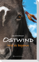 OSTWIND - Wie es begann