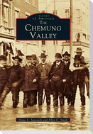 The Chemung Valley