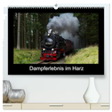 Dampferlebnis im Harz (hochwertiger Premium Wandkalender 2024 DIN A2 quer), Kunstdruck in Hochglanz