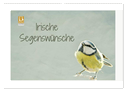 Irische Segenswünsche (Wandkalender 2025 DIN A2 quer), CALVENDO Monatskalender