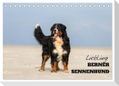 Liebling BERNER SENNENHUND (Tischkalender 2024 DIN A5 quer), CALVENDO Monatskalender