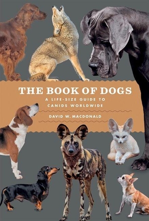 Macdonald, David W.. The Book of Dogs - A Life-Size Guide to Canids Worldwide. The University of Chicago Press, 2026.