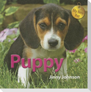 Puppy