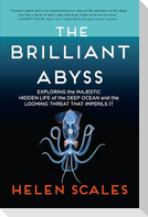 The Brilliant Abyss