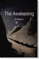 The Awakening: Illumination