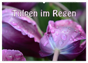 Tulpen im Regen (Wandkalender 2024 DIN A2 quer), CALVENDO Monatskalender
