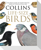 Collins Life-Size Birds